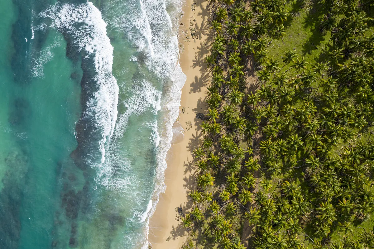 Congrès médico-dentaire Caraïbes 2025