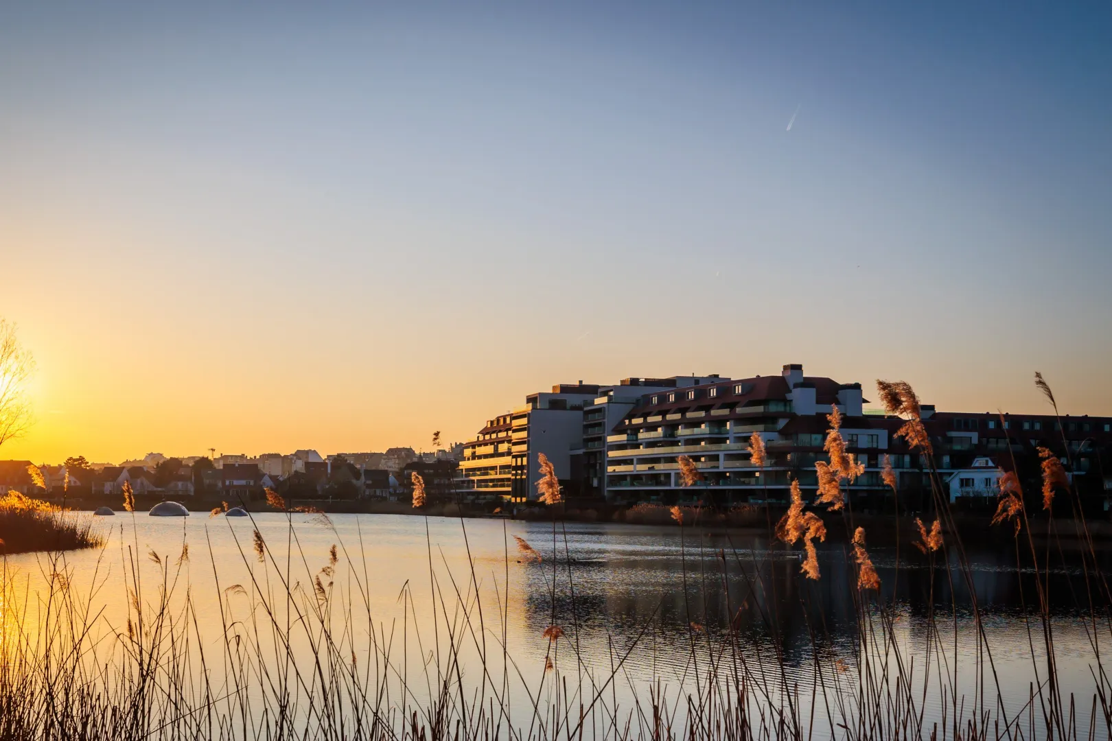 Congrès médico-dentaire Knokke 2026